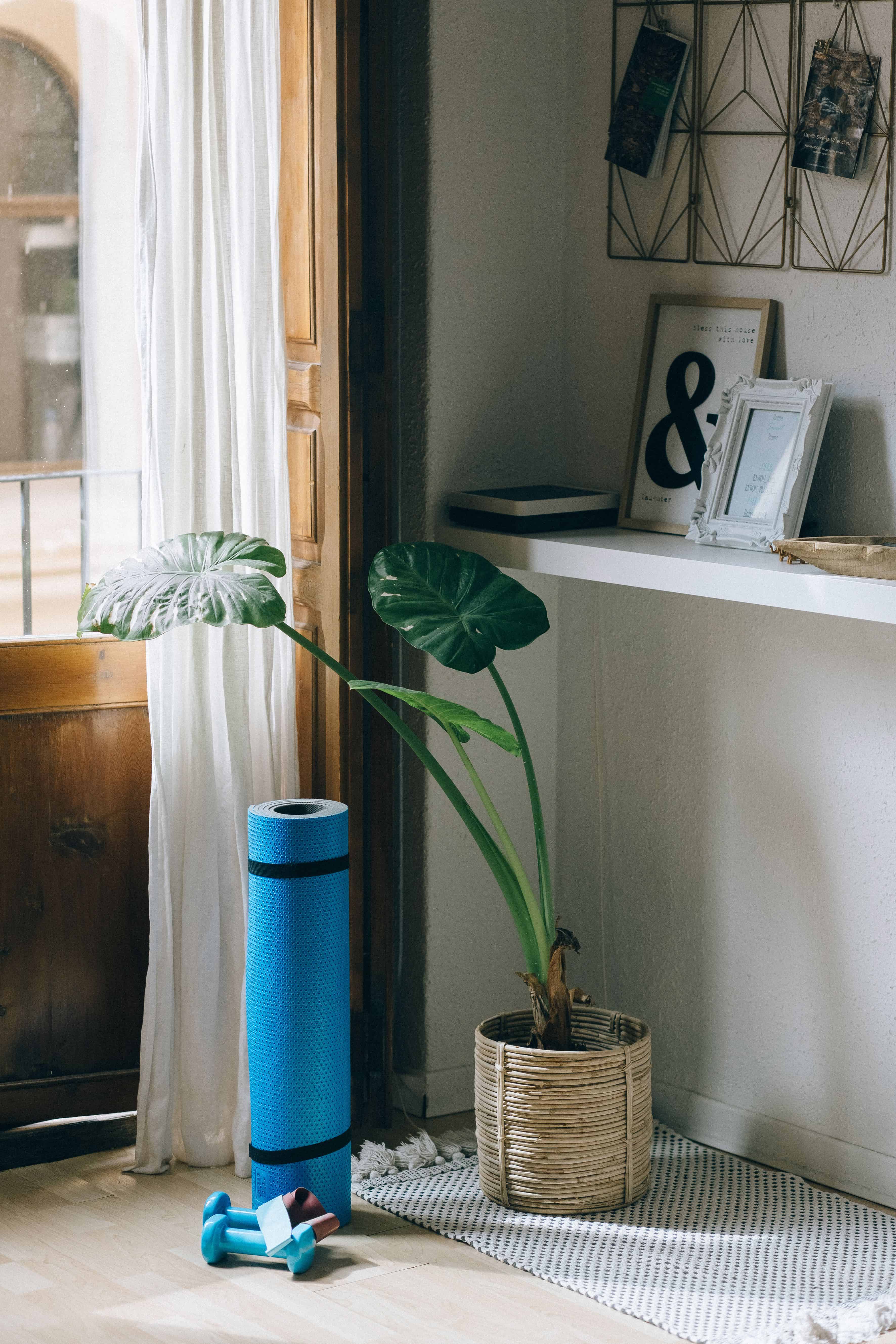 Essential Low cost Home Equipment For No studio Pilates Practice